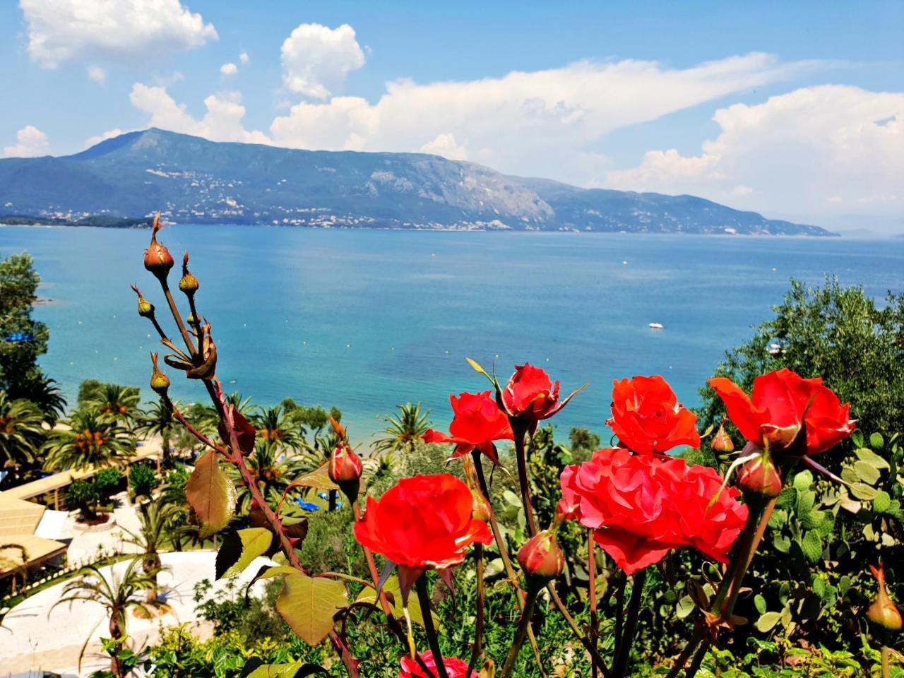 Pensiune Dimitra K Kommeno (Corfu)